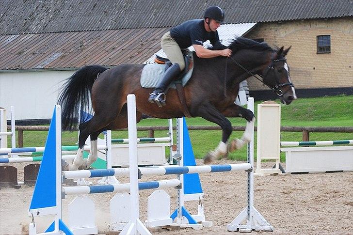 Dansk Varmblod Pittegårdens Winston - OBS! har taget billedet, men min far rider! :D  Fotograf: Mig! billede 2