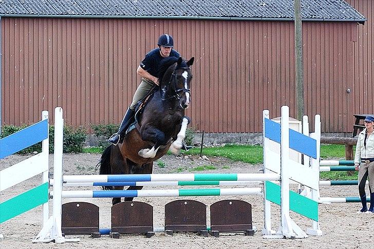 Dansk Varmblod Pittegårdens Winston - OBS! har taget billedet, men min far rider! :D  Fotograf: Mig! billede 4