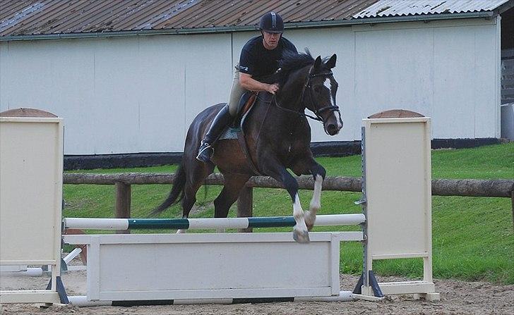 Dansk Varmblod Pittegårdens Winston - OBS! har taget billedet, men min far rider! :D  Fotograf: Mig! billede 5