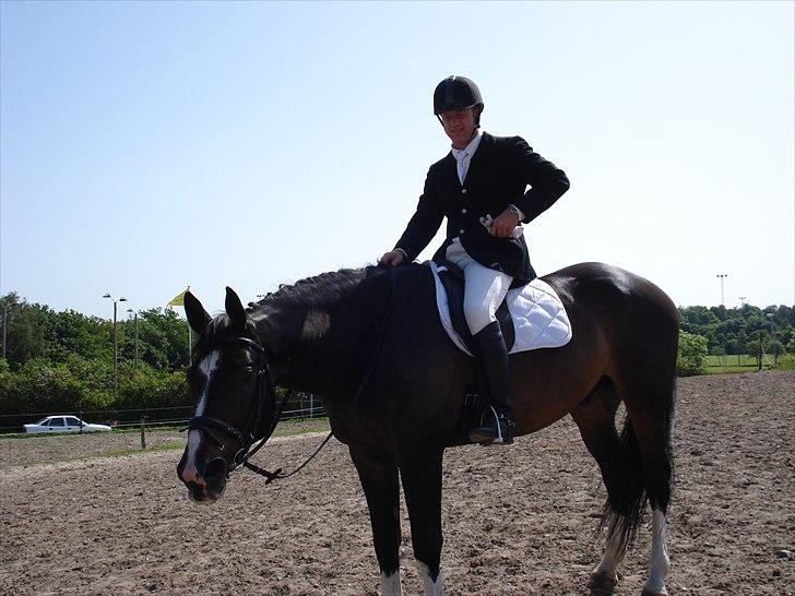 Dansk Varmblod Pittegårdens Winston - OBS! har taget billedet, men min far rider! :D  Fotograf: Mig! billede 17