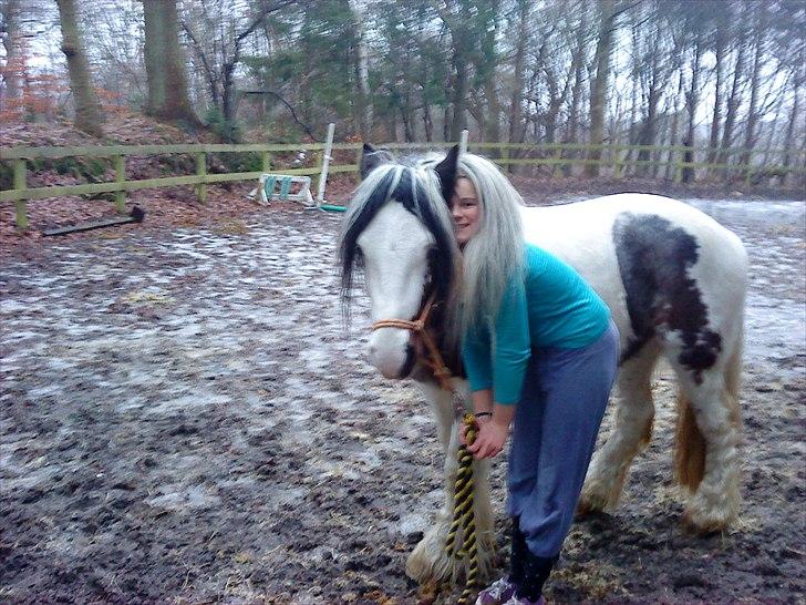 Irish Cob             Billy the kid - Fordi du ændrede mig! billede 8