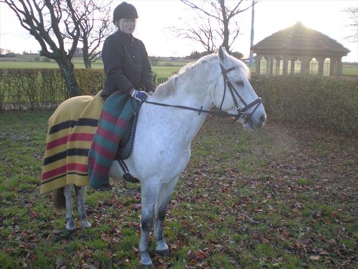 Tysk Sportspony Peanut *R.I.P*  - Peanut!<3 billede 5