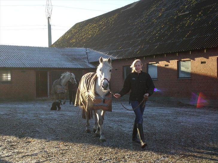 Tysk Sportspony Peanut *R.I.P*  - Vito og Peanut billede 9