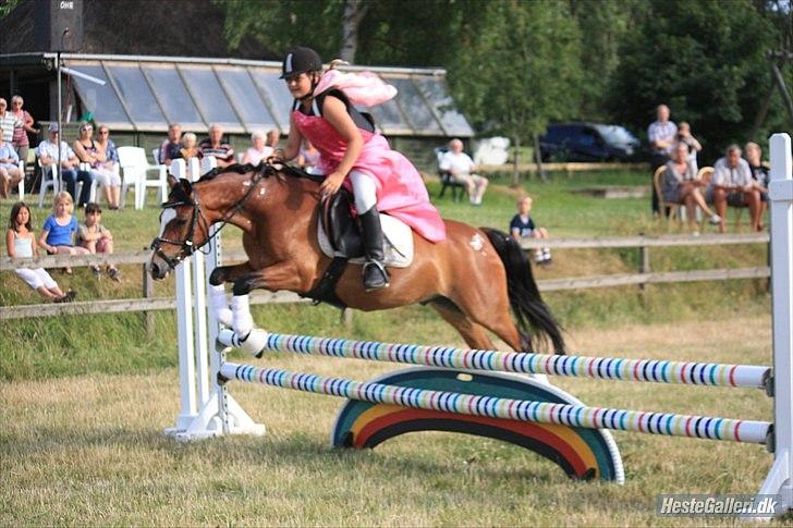 Welsh Pony (sec B) Rakt`s Britney solgt billede 17