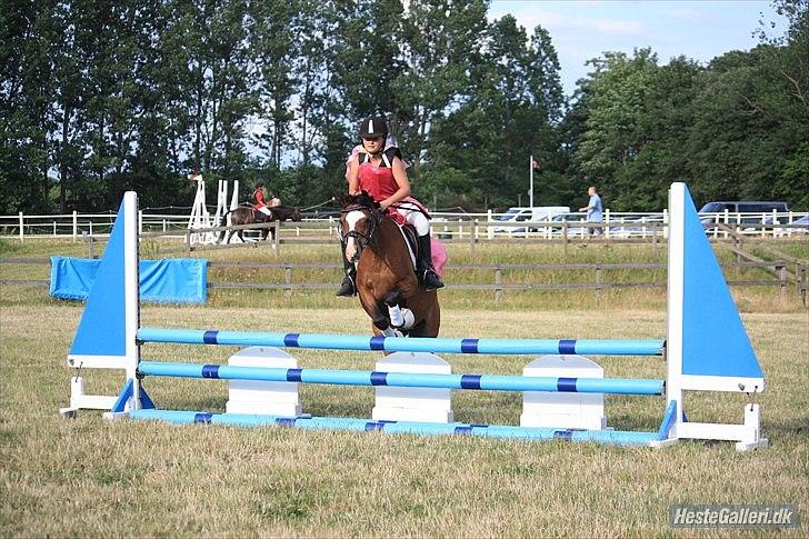 Welsh Pony (sec B) Rakt`s Britney solgt billede 19