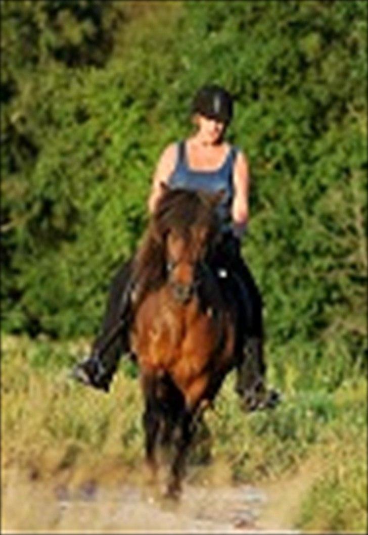 Islænder Salka fra Søsterbromølle - Sikken dejlig dag billede 14