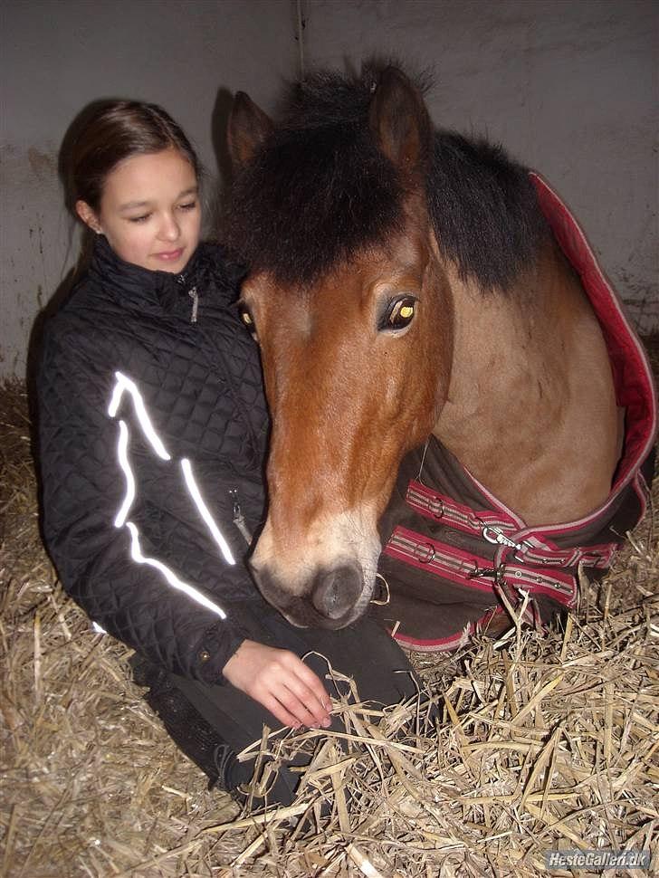 Anden særlig race Buster Larsen *SOLGT* - Hygge i boksen. Dejlige, søde Buster <3  billede 18