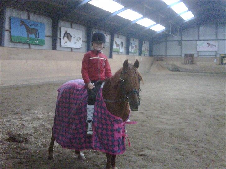 DSP Friis Attila billede 13