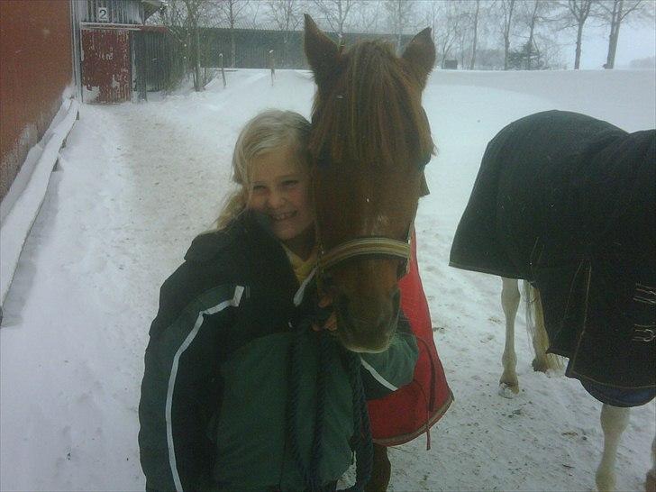 DSP Friis Attila billede 4