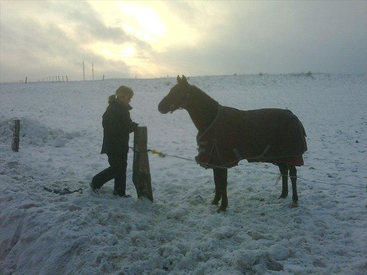 DSP Friis Attila billede 5