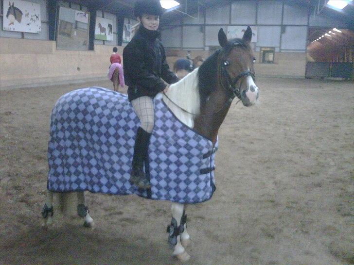 Anden særlig race Pretty<'3 - SOLGT billede 6