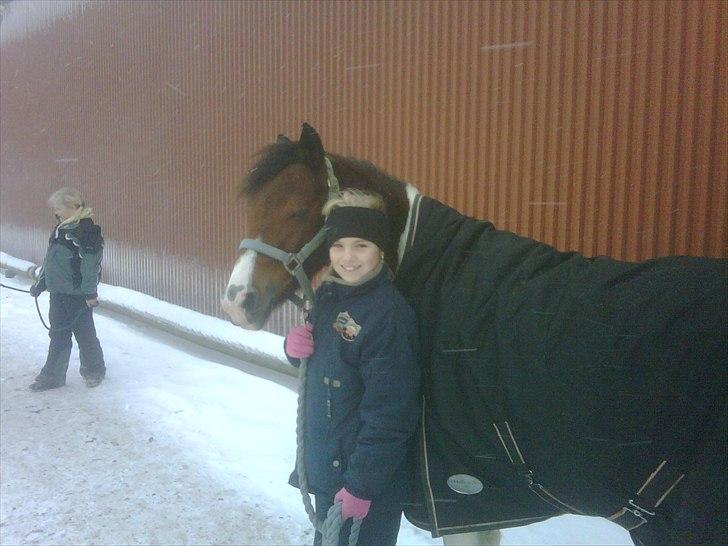 Anden særlig race Pretty<'3 - SOLGT billede 7