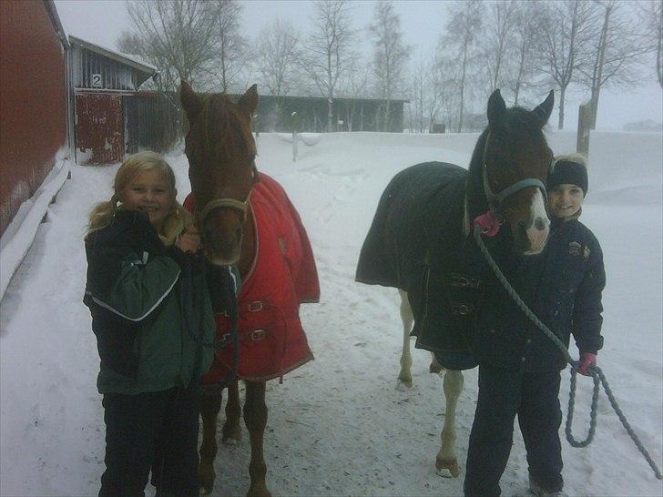 Anden særlig race Pretty<'3 - SOLGT billede 10