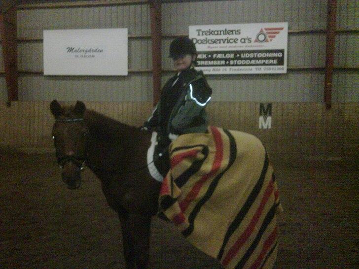 DSP Friis Attila billede 7