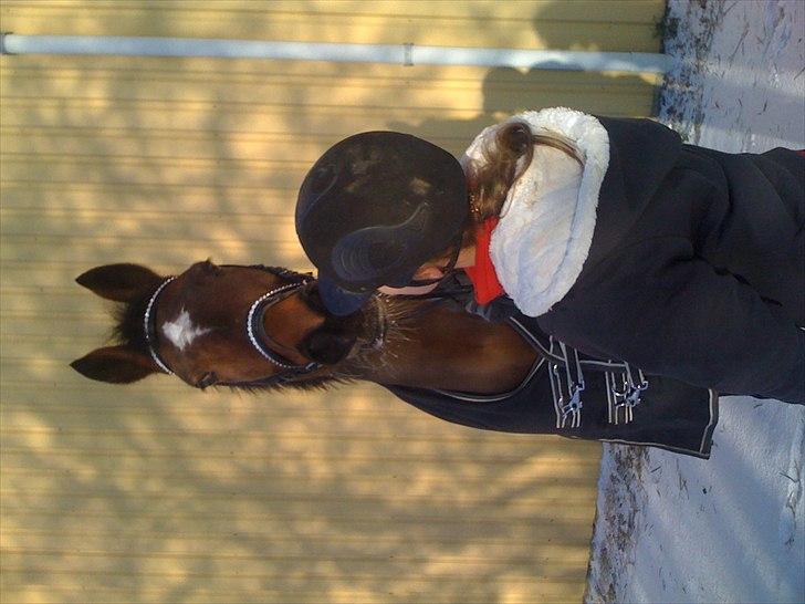 Anden særlig race Kehops De Nonville - 24 december Jeg Elsker Dig !<3 billede 11