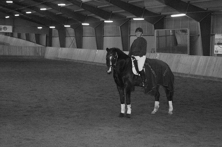 Holstener Loutiana B. [RIP] - Velkommen til Loulou´s profil :D . Gi´ gerne en kommentar og en bedømmelse :D billede 3