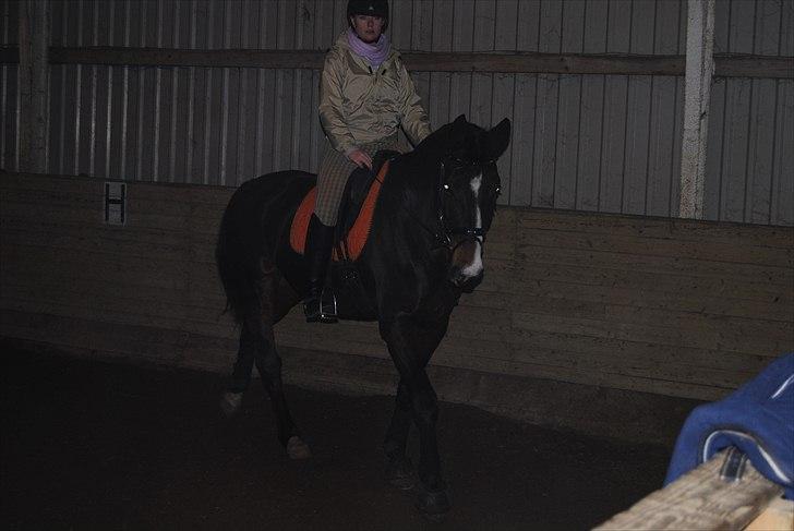 Holstener Loutiana B. [RIP] - Loulou under ridning :D billede 14