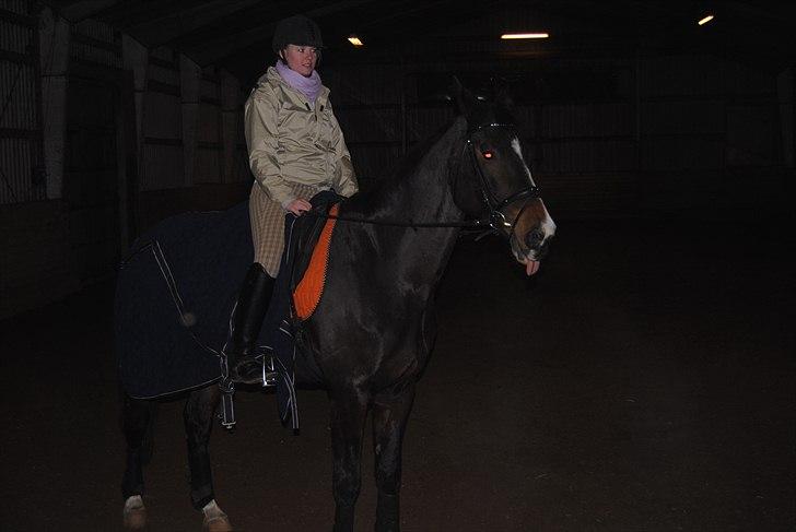 Holstener Loutiana B. [RIP] - Loulou rækker altid tunge når hun slapper af ? ;O haha billede 18