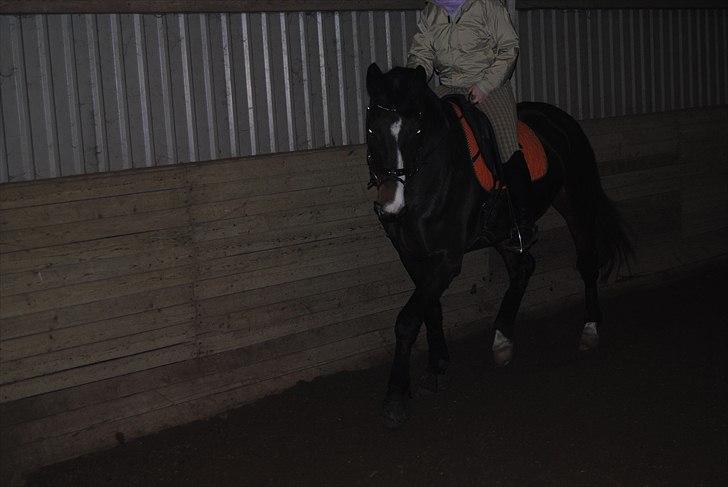 Holstener Loutiana B. [RIP] - Loulou under ridning :D billede 12