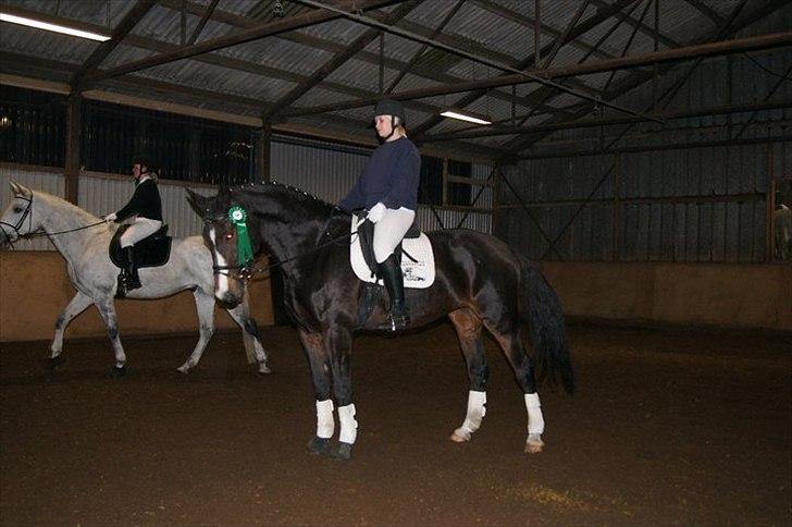 Holstener Loutiana B. [RIP] - Så er vi næsten pakket ind :D billede 15