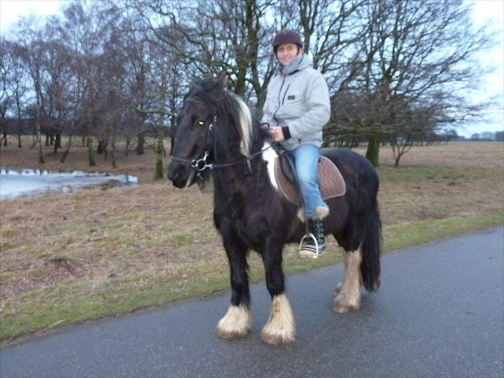 Irish Cob Charles X-part :( - Far der lige skulle sidde på den tykke(: det så faktisk helt proff ud til sidst(; billede 14