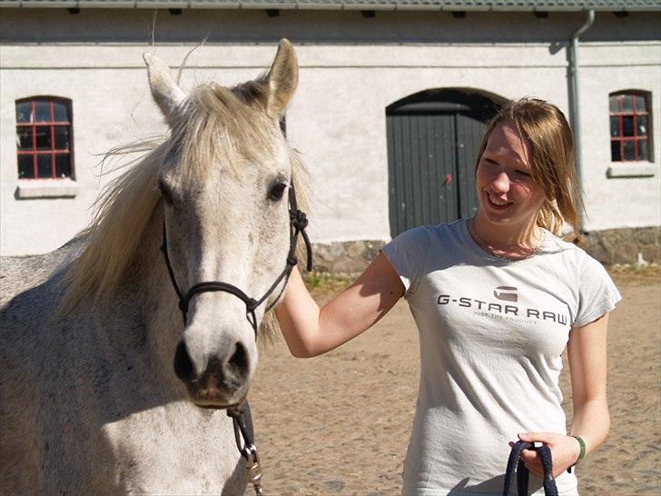 Arabisk fuldblod (OX) Pisaq O'shar solgt til Givhaab - Pisaq og jeg (: billede 3