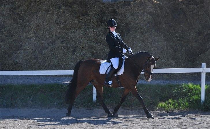 DSP Kelly - Velkommen til mullens profil (-: billede 1