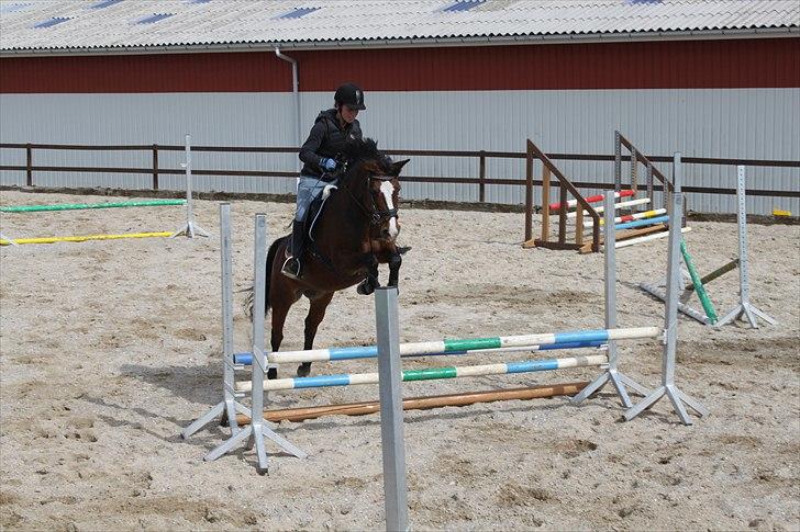 DSP Kelly - Springundervisning, gymnastikspring d. 17/5-11 (foto: Cecilie Nybo) billede 5