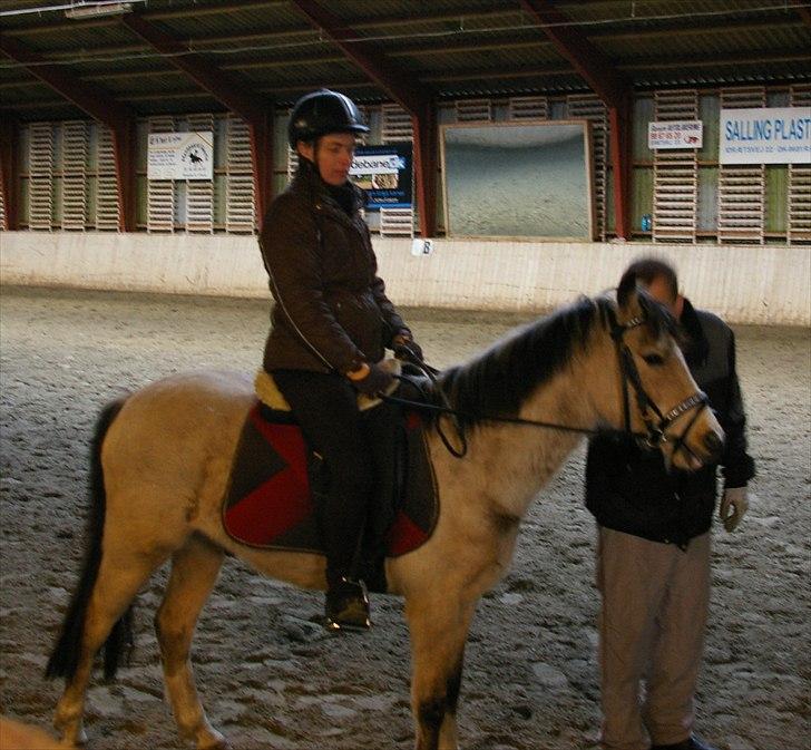 Anden særlig race Mister Surprice ( Solgt) - Han er super dygtig billede 15