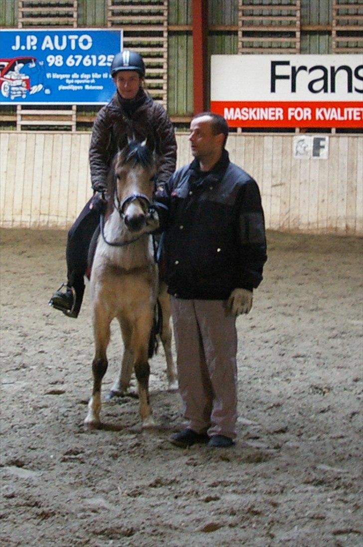 Anden særlig race Mister Surprice ( Solgt) - smuk ekvipage billede 16