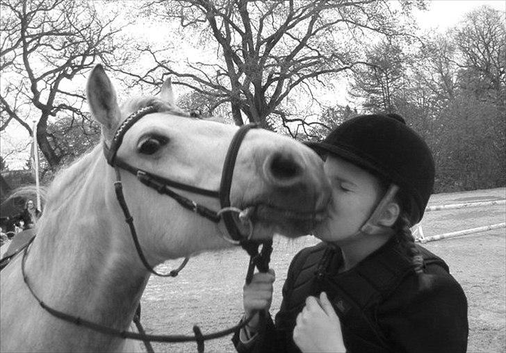 Anden særlig race Fanta :'((<3 - 17) Min kyssende pony<33:D Foto:Laura billede 17