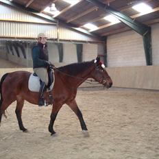 Anden særlig race Charlie Mingus