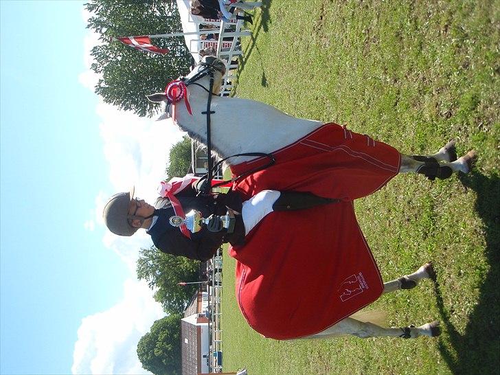 Anden særlig race Silverdream  billede 15