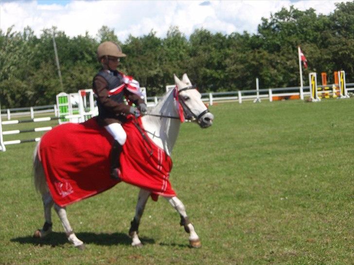 Anden særlig race Silverdream  billede 16