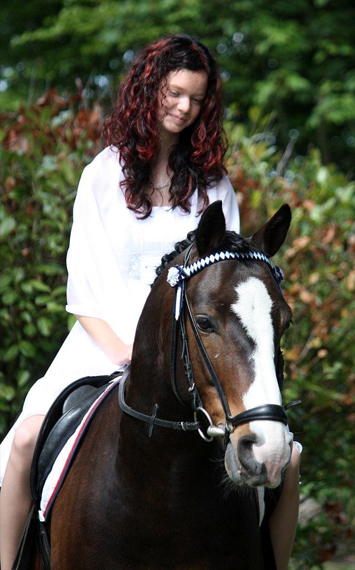 Tysk Sportspony PHW's Neils B-pony - min konfirmation 20 maj 2011 billede 4