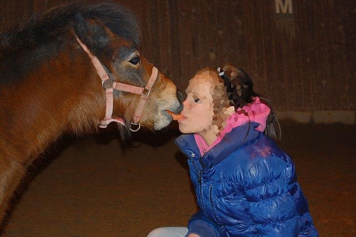 Anden særlig race 'Sally' billede 7