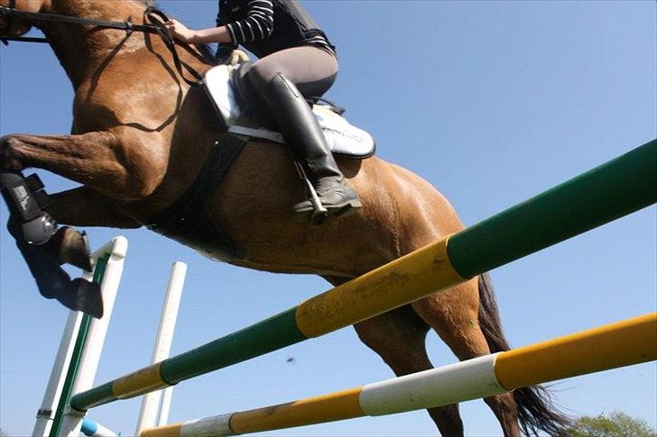 Anden særlig race Brie Marteyna - vi flyver over 95! sammen er vi tættere på himmlen! :* <3 billede 1