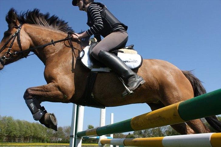 Anden særlig race Brie Marteyna - mig og min kærste/min hest Springer :D <3 min øjesten! :* <3 billede 3