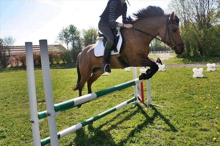 Anden særlig race Brie Marteyna - seriøst skatter! - vi kan alt sammen :* :D <3 billede 5