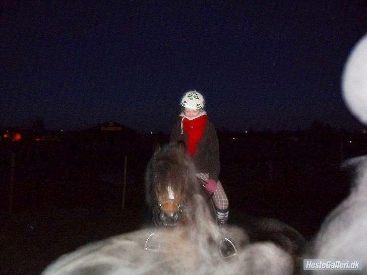 Welsh Pony (sec B) Dusty! Mit eventyr!<3 - Efter vores SUPER gode 3 TIme sammen!! <3  billede 7
