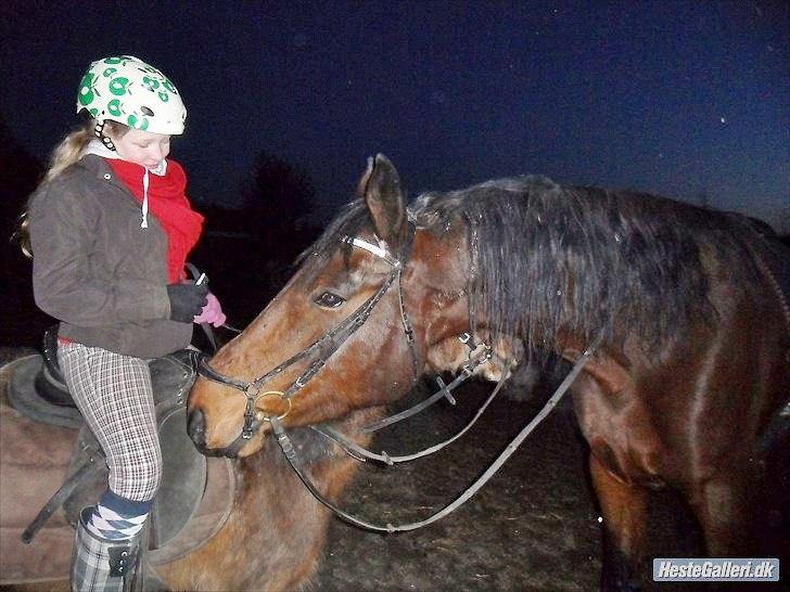 Welsh Pony (sec B) Dusty! Mit eventyr!<3 - Landmine, Mig & Dusty ! 
Dusty du er dejlig ! billede 8