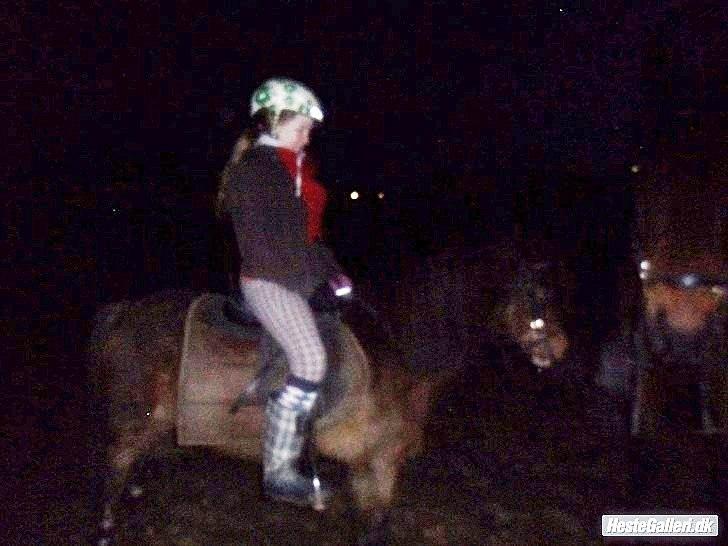 Welsh Pony (sec B) Dusty! Mit eventyr!<3 billede 11