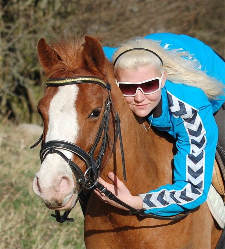 DSP Phønix AM *Solgt - Dejlige pony! Foto: Simone billede 11