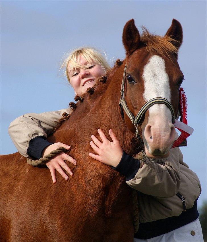 DSP Phønix AM *Solgt - Efter han første dressur stævne :) Vellykket! Stjerne pony! Foto: Emilie billede 18