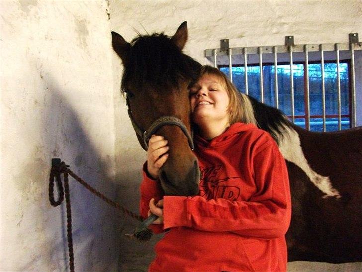 Anden særlig race Sønderhedens Santos - Elsker min pony dreng, Randrupmølle 2011 billede 7