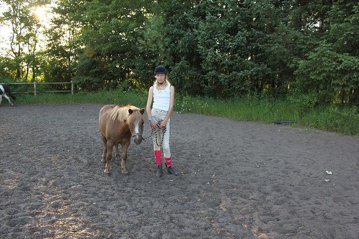 Shetlænder  Kobjerggård's Jonatan  - mig mig og emma det var så hyggeligt billede 3