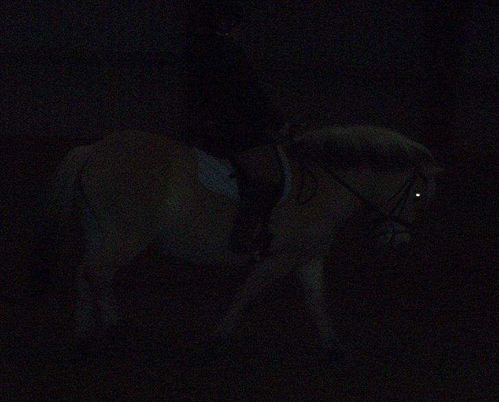 Fjordhest Indianna - Mig og Indi (undskylder den dårlige kvalitet) billede 11