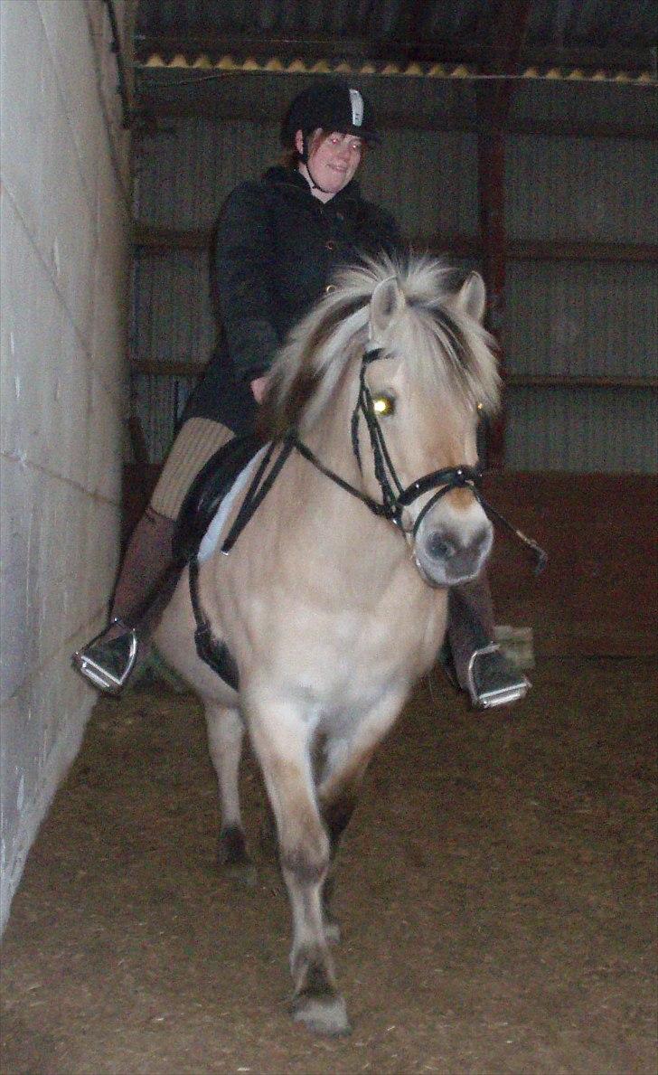 Fjordhest Indianna - Mig og Indi billede 12