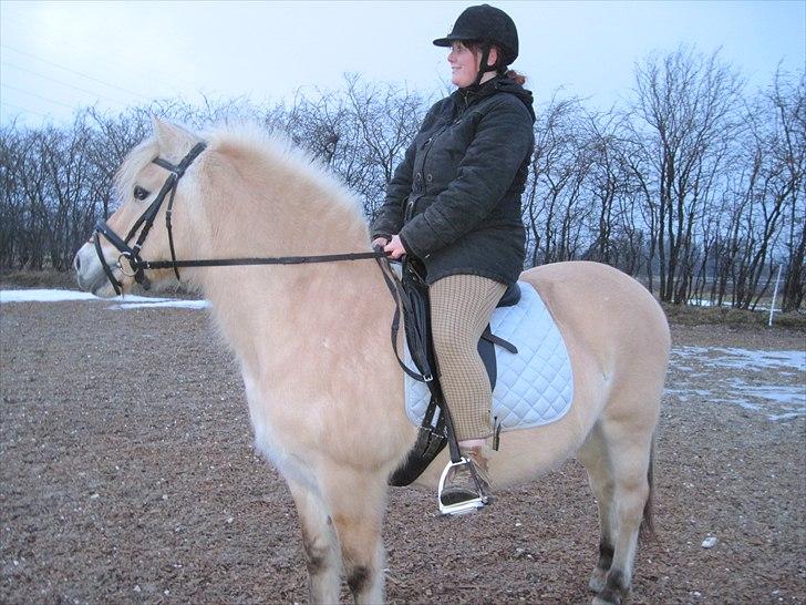 Fjordhest Indianna - Mig og Indi (undskylder den dårlige kvalitet) billede 15