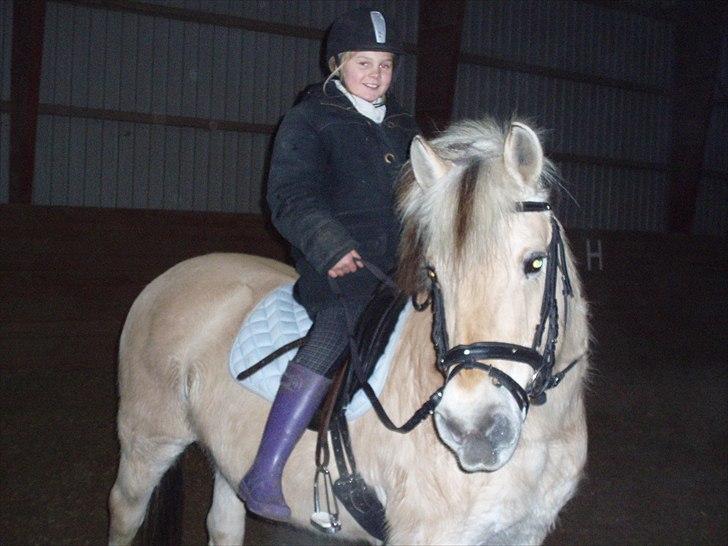 Fjordhest Indianna - Natalie og Indi billede 18